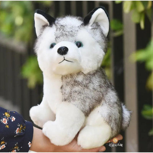 Peluche husky - DoudouetPeluche